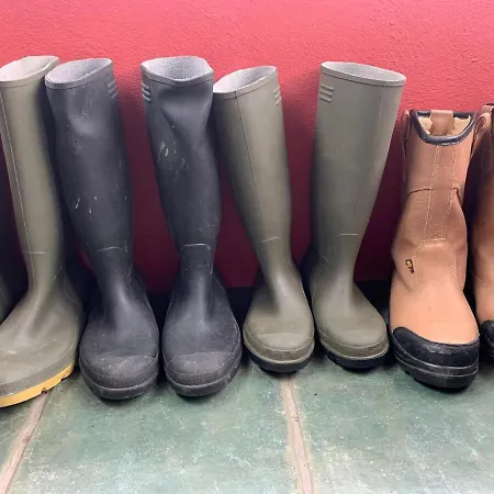 Unique Schoolhouse In The Peaceful Western Lakes